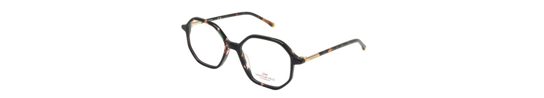 Optische glazen